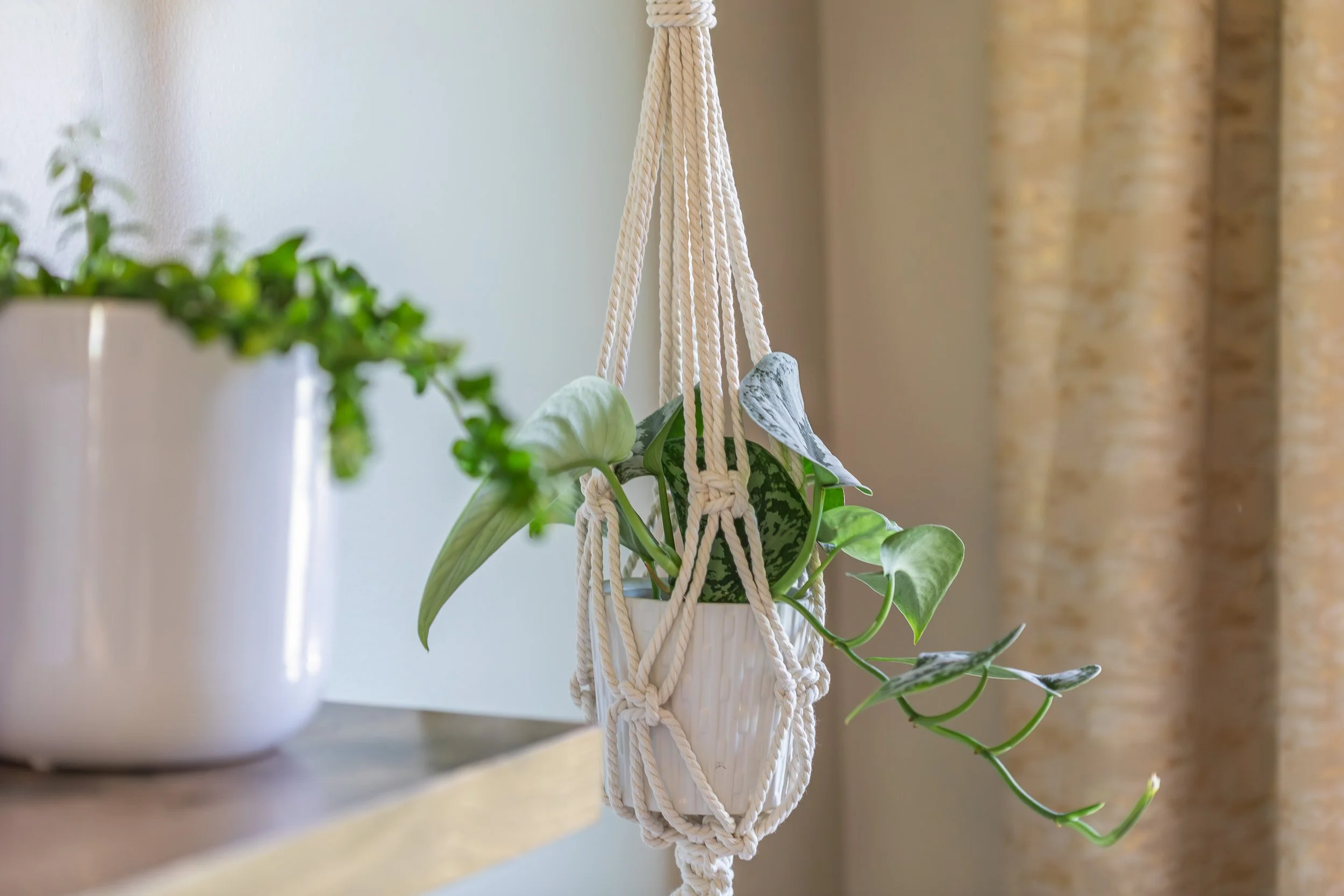 Handmade Macramé Plant Hangers & Home Décor | Tide Knot Studio